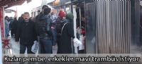 Kızlar pembe, erkekler mavi trambüs istiyor