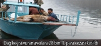 Dağ keçisi vuran avcılara 28 bin TL para cezası kesildi