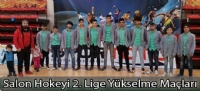 Salon Hokeyi 2. Lige Yükselme Maçları
