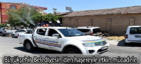 Büyükşehir Belediyesin'den haşereyle etkin mücadele