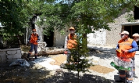 Büyükşehir Belediyesin'den haşereyle etkin mücadele