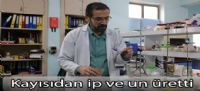 Kayısıdan ip ve un üretti