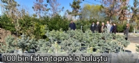 100 bin fidan toprakla buluştu