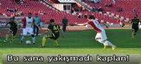 Bu sana  yakışmadı  kaplan!