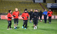 Ülkücülerden Evkur Yeni Malatyaspor'a Destek