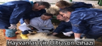 Hayvanlar İçin Ultrason Cihazı