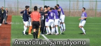 Amatörün Şampiyonu