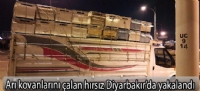 Arı kovanlarını çalan hırsız Diyarbakır'da yakalandı
