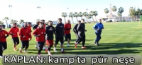 Kaplan Kamp'ta  pür  neşe