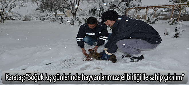 Karataş: “Soğuk kış günlerinde hayvanlarımıza el birliği ile sahip çıkalım”