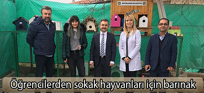 Öğrencilerden sokak hayvanları için barınak