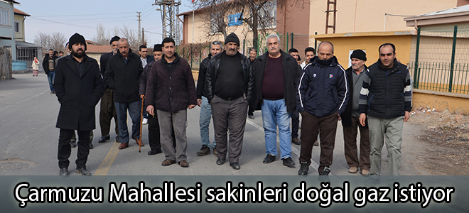 Çarmuzu Mahallesi sakinleri doğal gaz istiyor