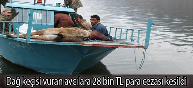 Dağ keçisi vuran avcılara 28 bin TL para cezası kesildi