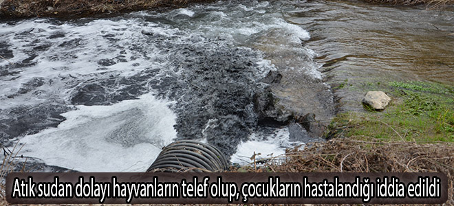 Atık sudan dolayı hayvanların telef olup, çocukların hastalandığı iddia edildi