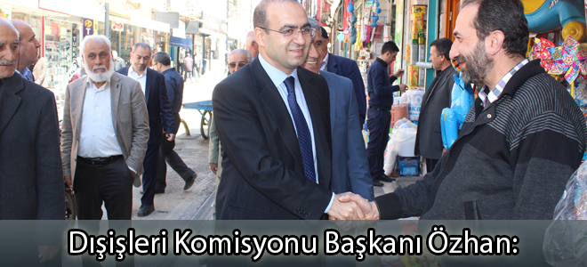 Dışişleri Komisyonu Başkanı Özhan:
