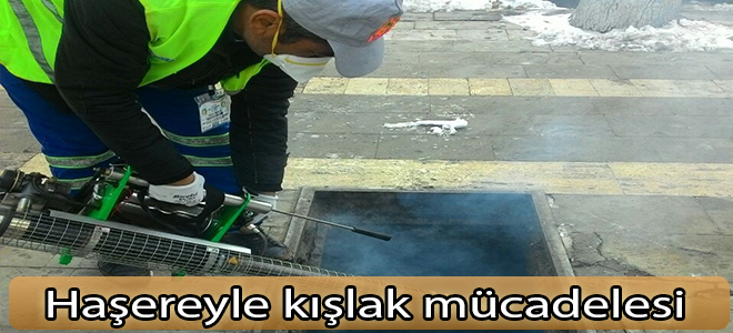 Haşereyle kışlak mücadelesi