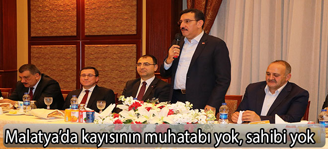 Malatya’da kayısının muhatabı yok, sahibi yok
