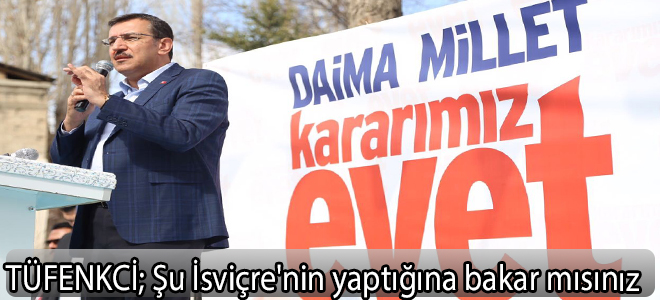 Tüfenkci: Şu İsviçre'nin yaptığına bakar mısınız
