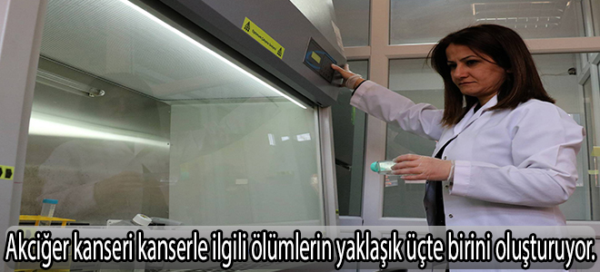 Akciğer kanseri kanserle ilgili ölümlerin yaklaşık üçte birini oluşturuyor.