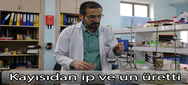 Kayısıdan ip ve un üretti