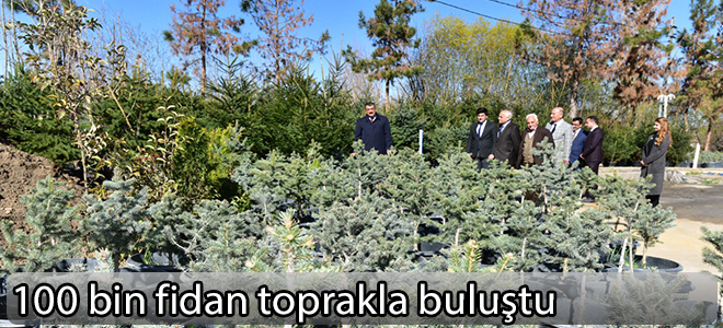 100 bin fidan toprakla buluştu