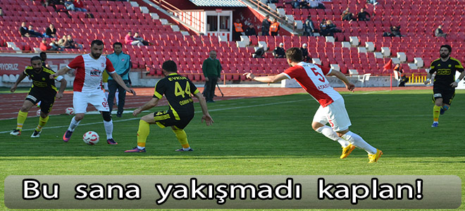 Bu sana  yakışmadı  kaplan!