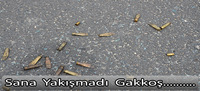 Sana  yakışmadı  Gakkoşşş...
