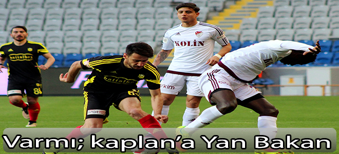 Varmı Kaplan'a Yan Bakan........