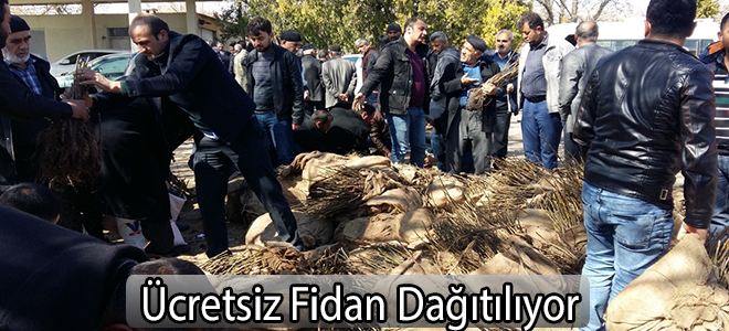 Ücretsiz Fidan Dağıtılıyor