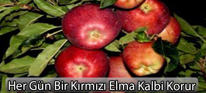 Her Gün Bir Kırmızı Elma Kalbi Korur