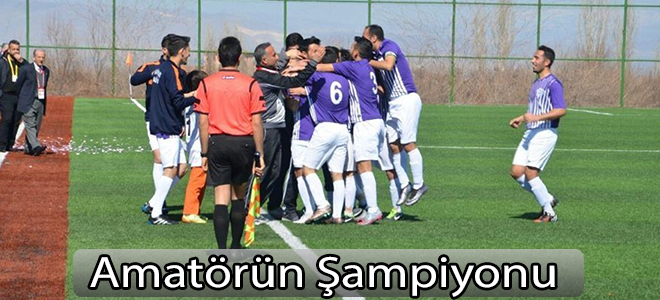 Amatörün Şampiyonu