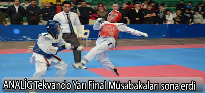 ANALİG Tekvando Yarı Final Müsabakaları sona erdi