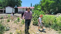 Yıkılan Evlerinin Enkazında Yeşeren 'Ayçiçekleri' İle Nefes Almaya Çalışıyorlar