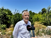 Kiraz Üreticisi Günlük 2 Bin TL'ye İşçi Bulamıyor