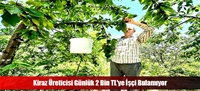 Kiraz Üreticisi Günlük 2 Bin TL'ye İşçi Bulamıyor