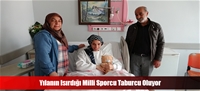 Yılanın Isırdığı Milli Sporcu Taburcu Oluyor
