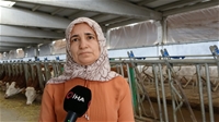 Devlet Desteğiyle Kurduğu Tesiste Günlük 700 Litre Süt Üretiyor