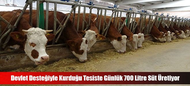 Devlet Desteğiyle Kurduğu Tesiste Günlük 700 Litre Süt Üretiyor